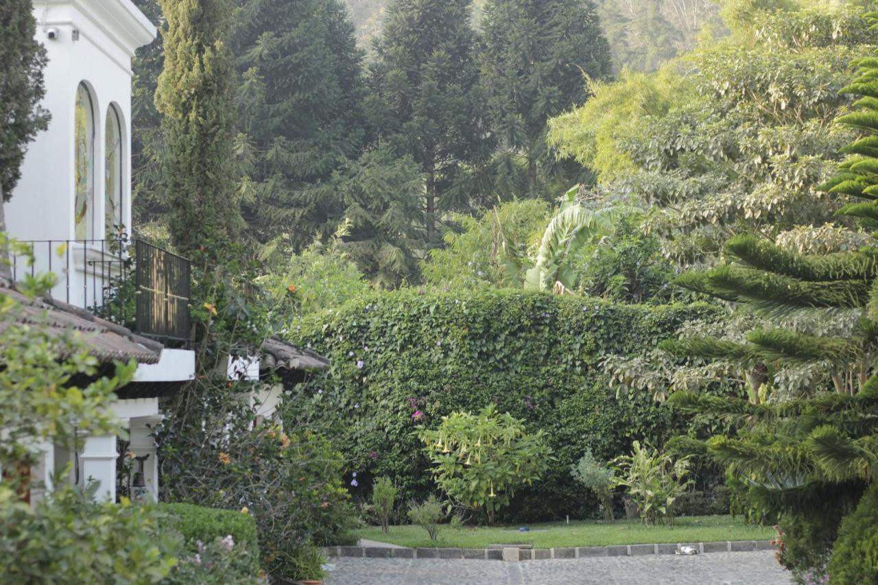 Hotel Y Jardines Casa Buho 危地马拉安地瓜 外观 照片