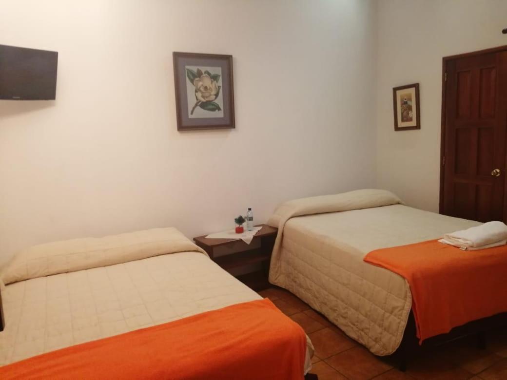 Hotel Y Jardines Casa Buho 危地马拉安地瓜 外观 照片