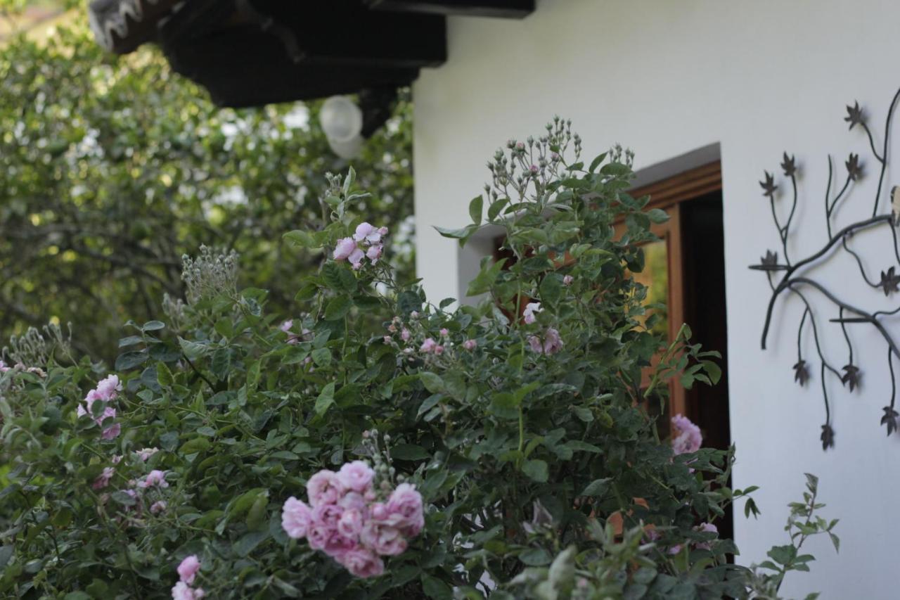 Hotel Y Jardines Casa Buho 危地马拉安地瓜 外观 照片
