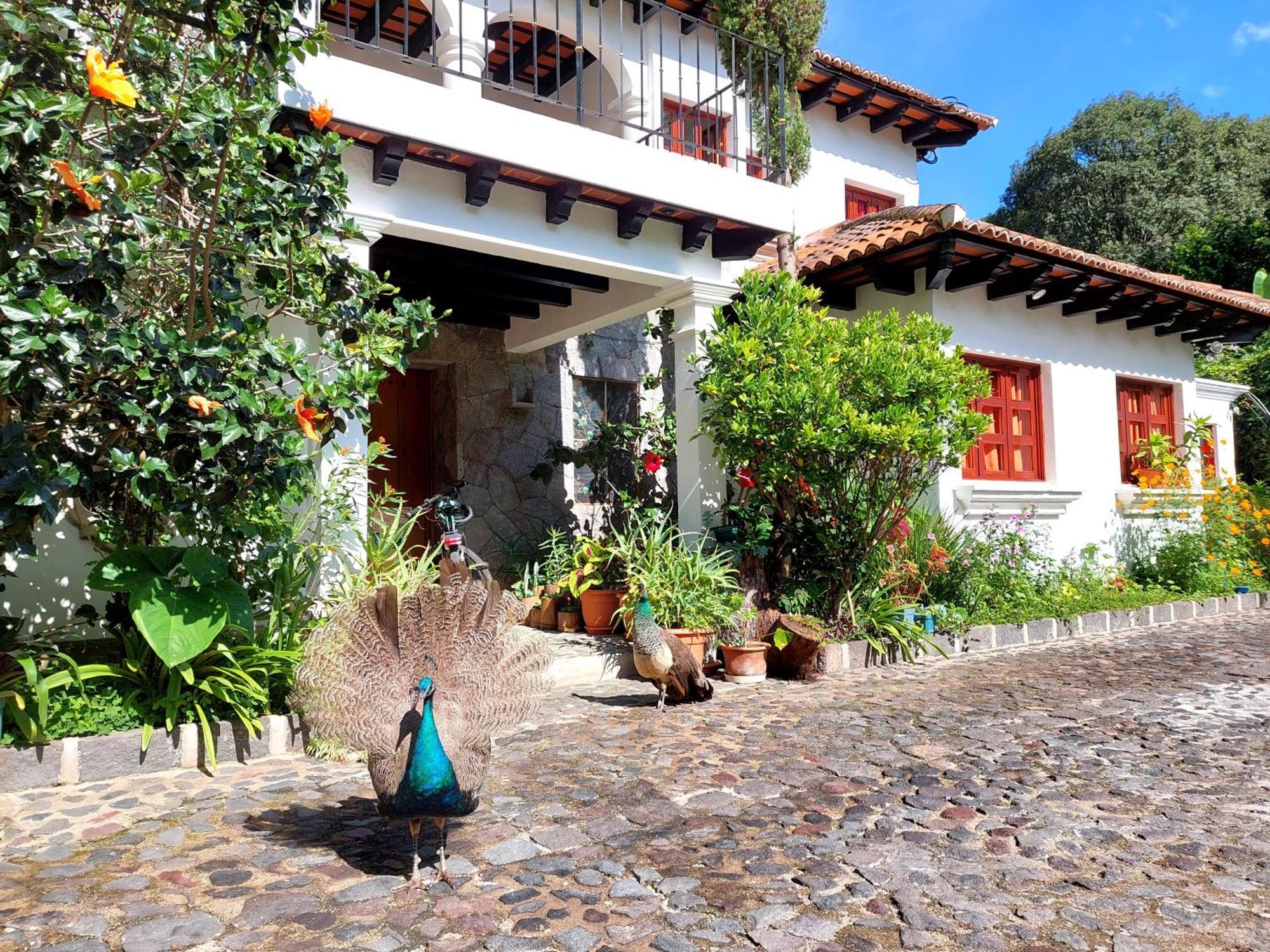 Hotel Y Jardines Casa Buho 危地马拉安地瓜 外观 照片