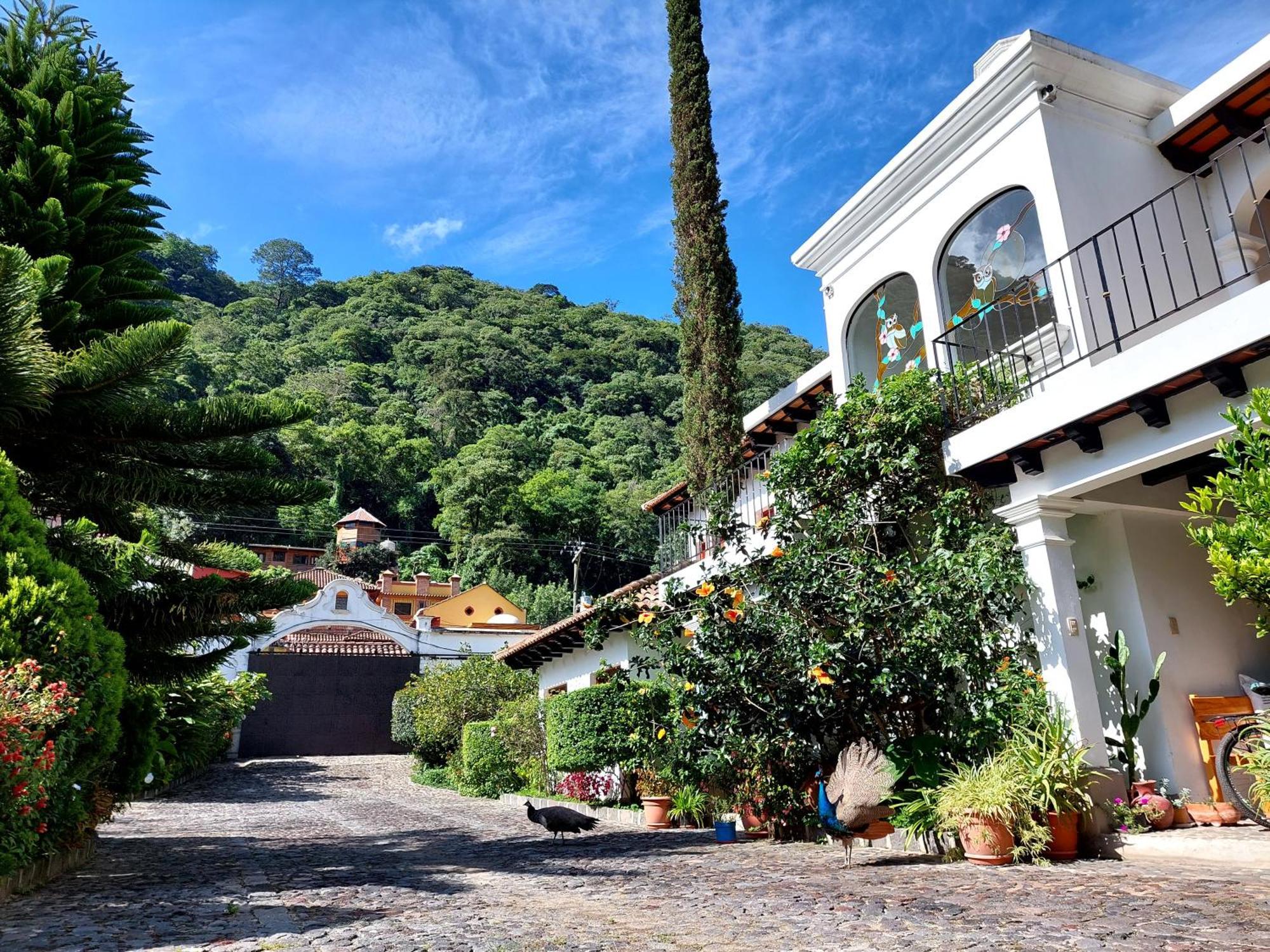 Hotel Y Jardines Casa Buho 危地马拉安地瓜 外观 照片